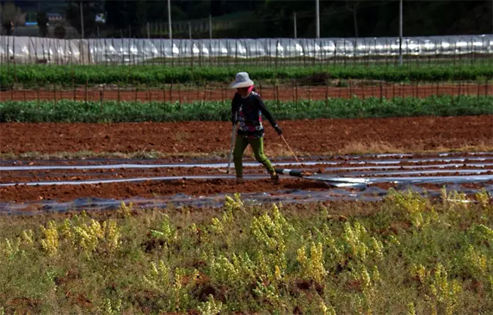 1606966988414745.png image.png