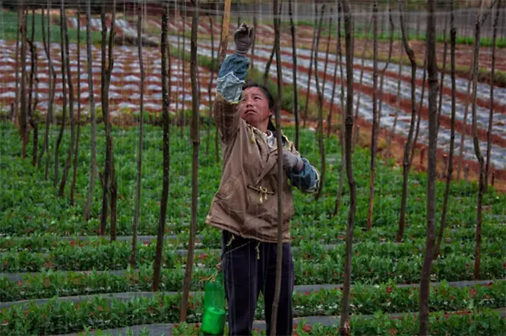 1606967069974748.png image.png