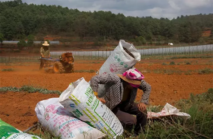 1606967089517059.png image.png