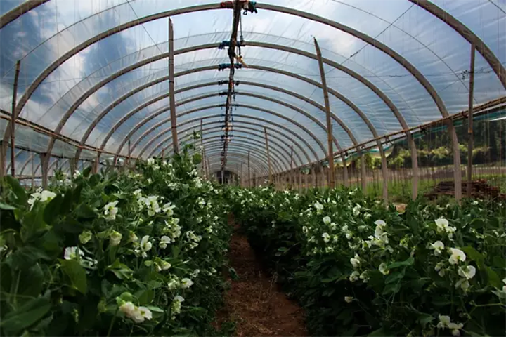 1606967109702230.png image.png