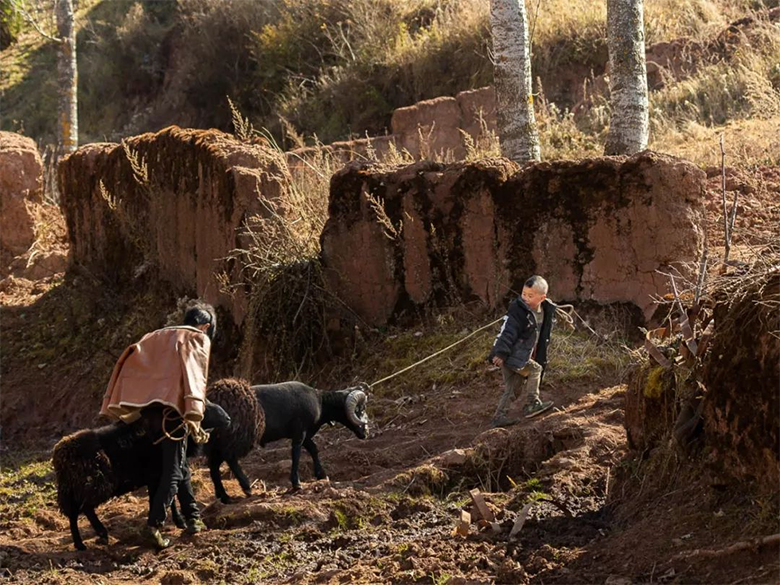 1610165882460205.png image.png