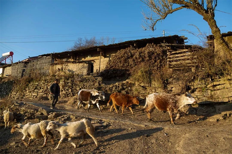 1610166348931879.png image.png