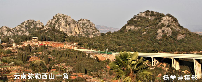 1610184736723207.png image.png