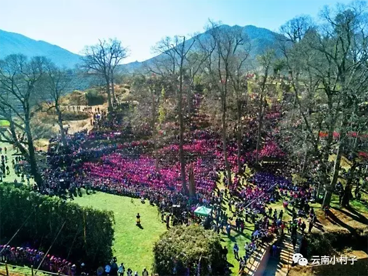 1614698203267189.png image.png