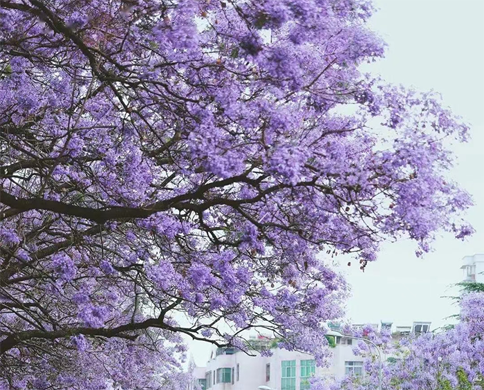 1618478280450194.png image.png