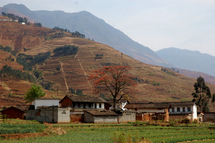 1620531804946346.png image.png