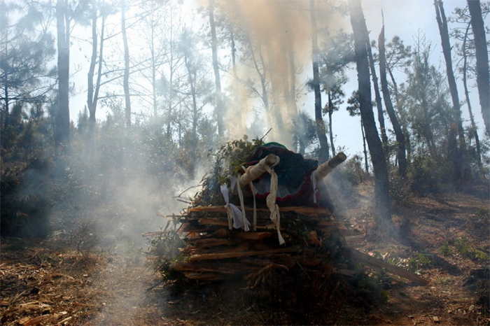 1620552133985316.png image.png