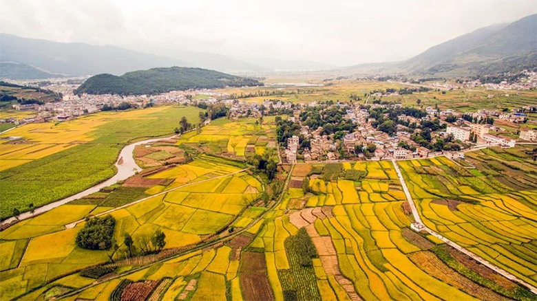 1621046303681621.png image.png