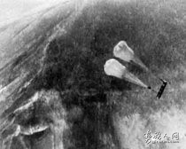 1621381104611950.png image.png