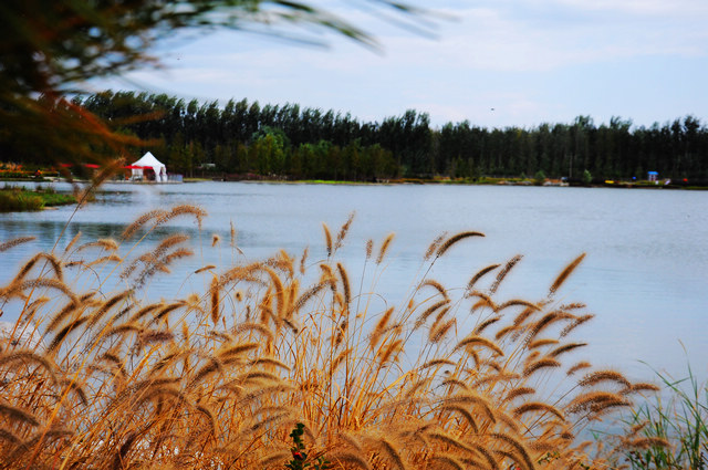 1624500216211159.png image.png