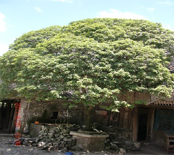 1625903759892134.png image.png