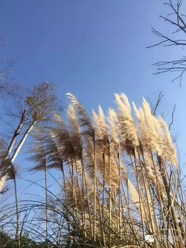 1626404749238431.png image.png