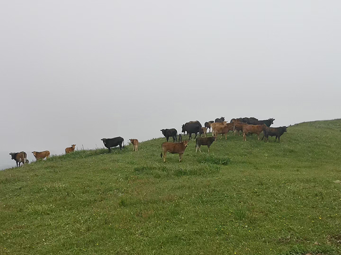 1627199604763834.png image.png