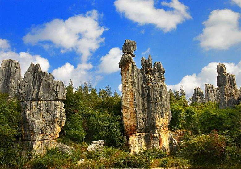 1632488740535495.png image.png