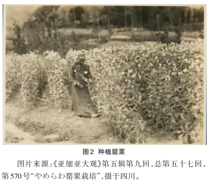 1633497545646154.png image.png