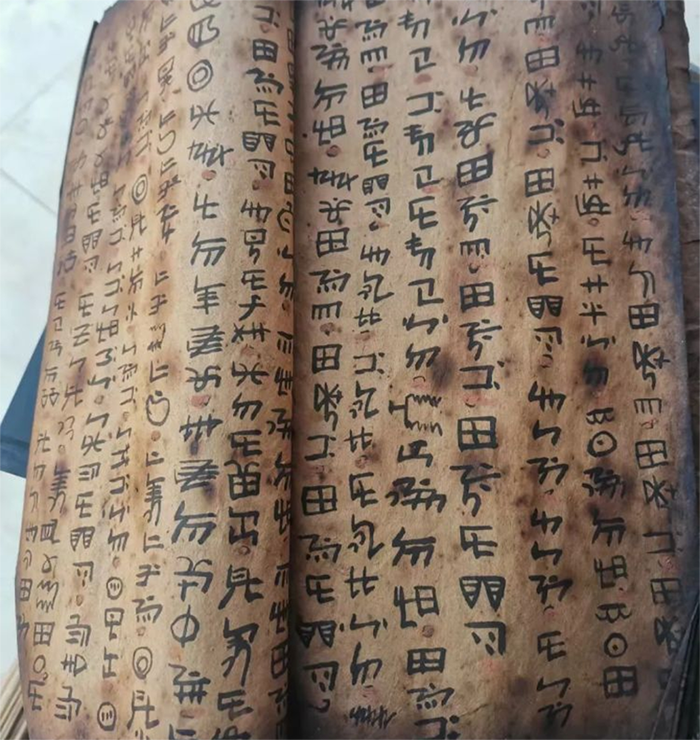 1633611127791225.png image.png