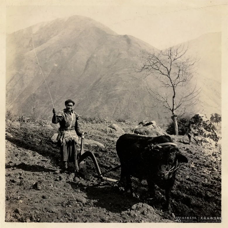 1634048440706871.png image.png