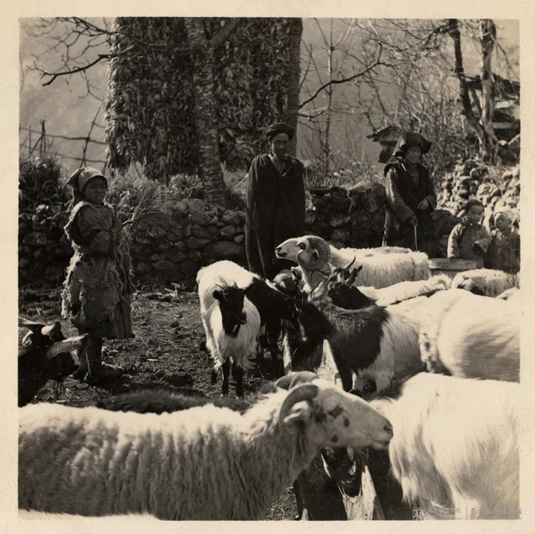 1634048483411202.png image.png