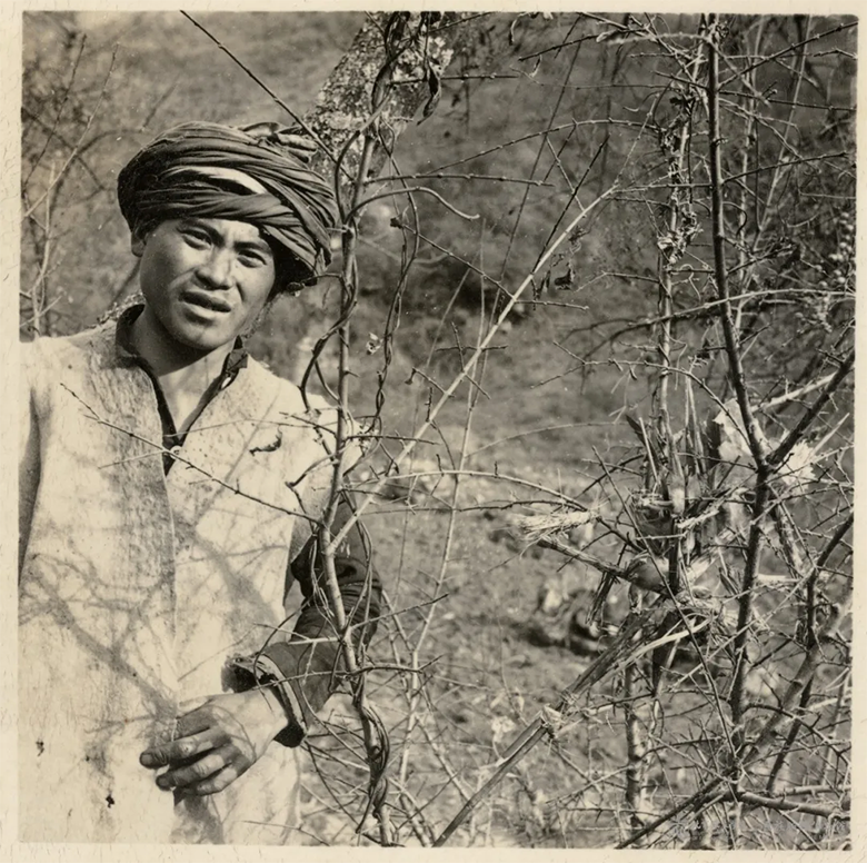 1634049204993778.png image.png