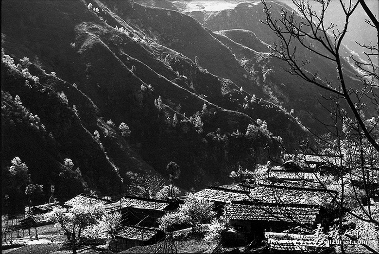 1635689213879522.png image.png