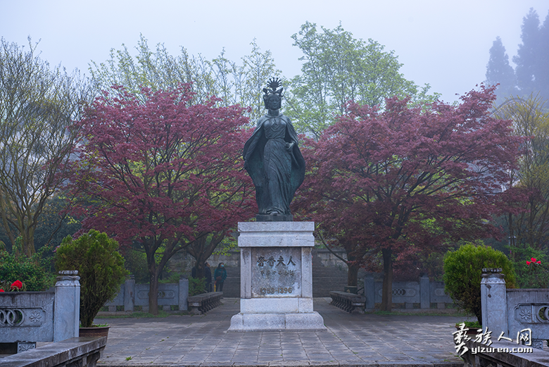 1635821846466225.png image.png