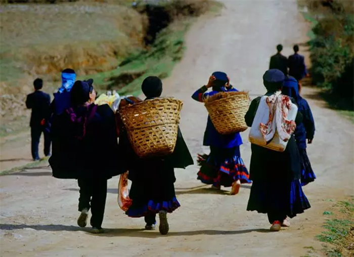 1636519898112457.png image.png