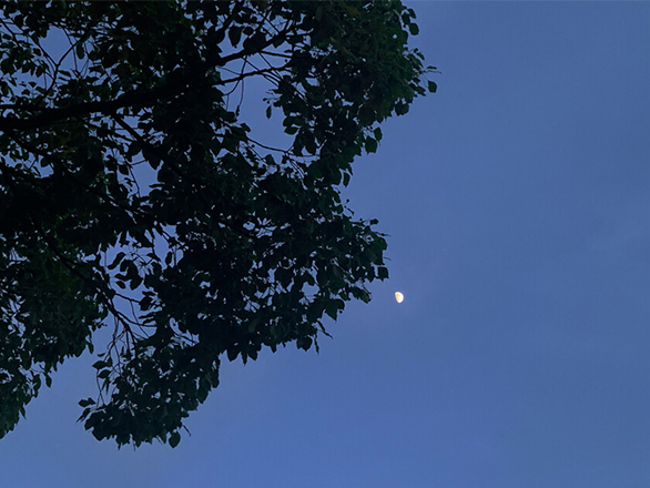 1636885881449458.png image.png