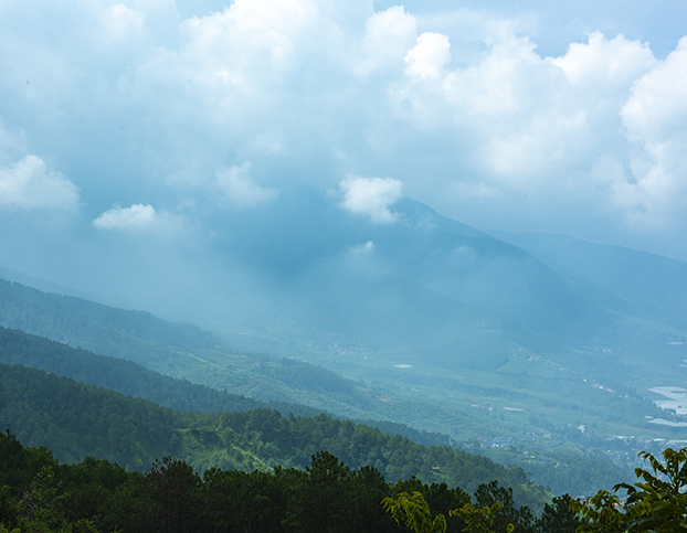 1638419958643456.png image.png