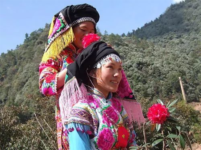 1638708867463490.png image.png