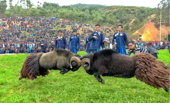 1638710085643766.png image.png