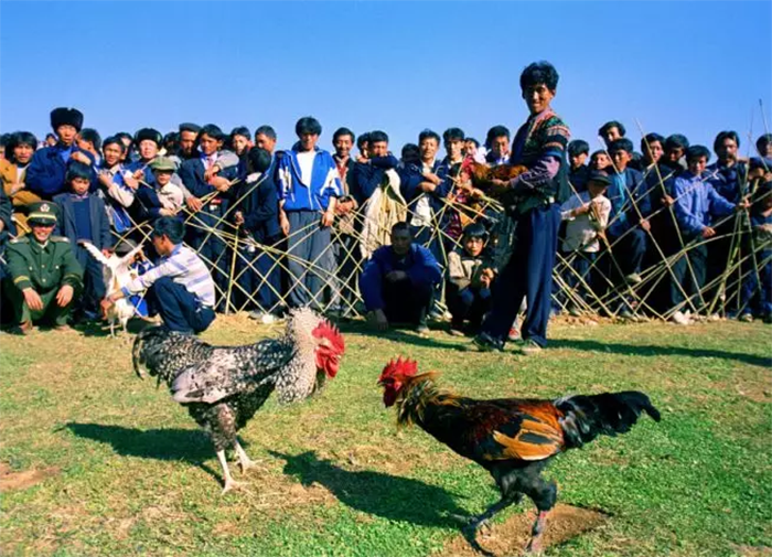 1638710103665960.png image.png