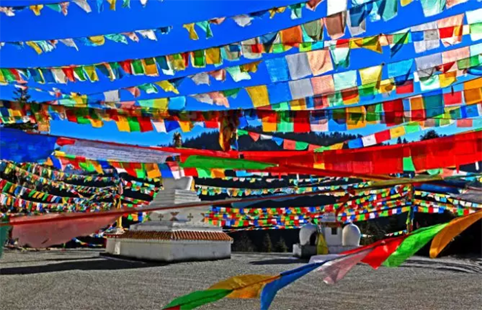 1638710374402662.png image.png