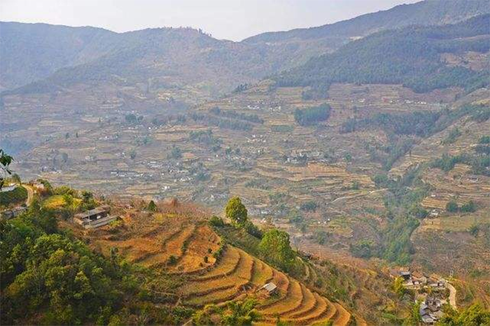 1639319612134387.png image.png