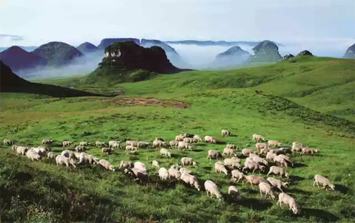 1639451728150739.png image.png