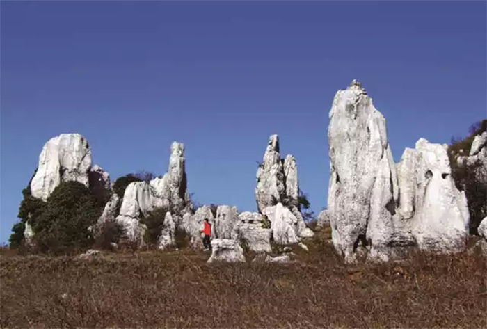 1639451885906973.png image.png