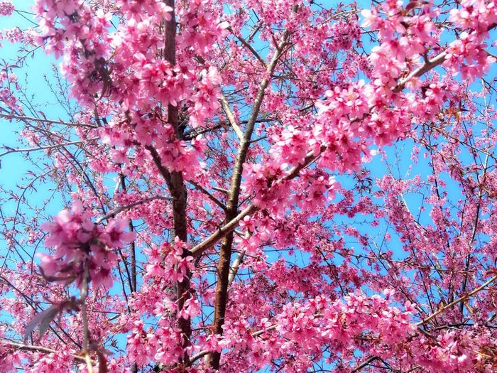 1641873463525433.png image.png