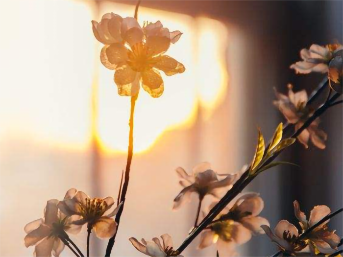 1643282513798774.png 1643282513798774.png