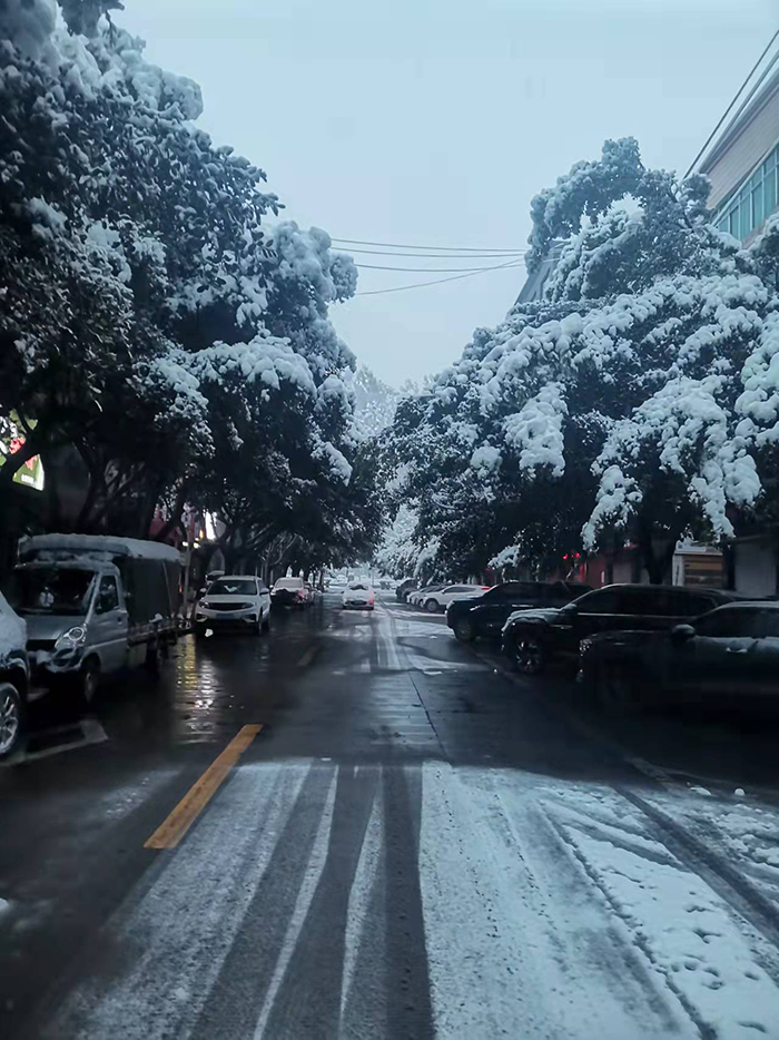 1645520830843230.png image.png