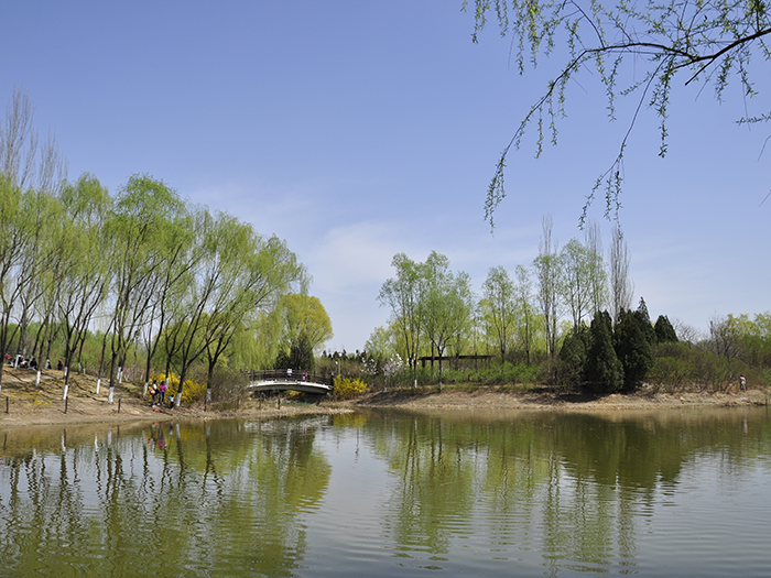 1648217931579356.png image.png