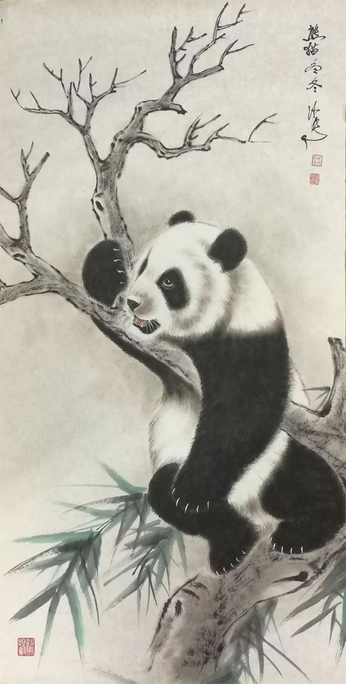 1648698819728583.jpg xiongmaosd2.jpg