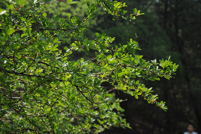 1649052359714687.png image.png