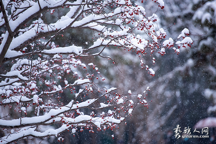 1649345268523359.png image.png