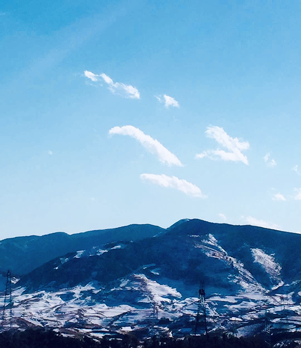 1650297009689779.png image.png