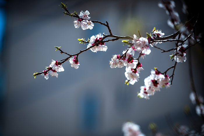 1650554360923934.png image.png