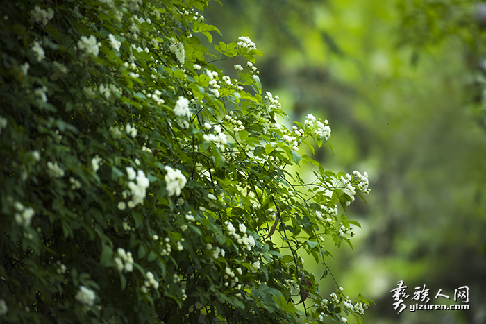 1651063978116516.png image.png