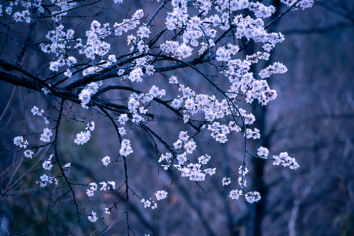 1652925890764228.png image.png