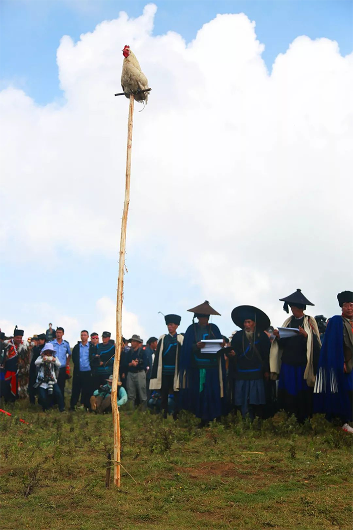 1655650026695220.png image.png