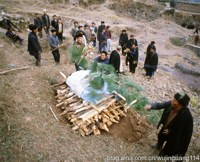 1656470087833998.png image.png