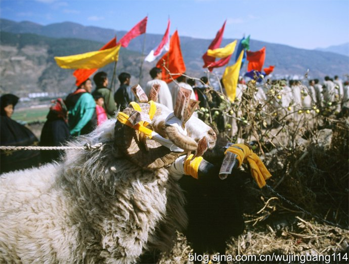 1656470431637591.png image.png