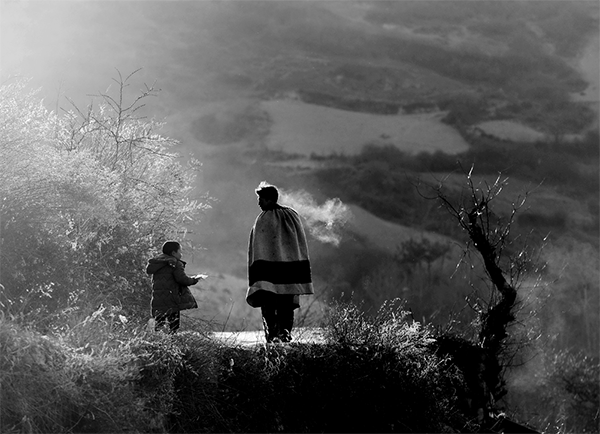 1656504777308944.png image.png